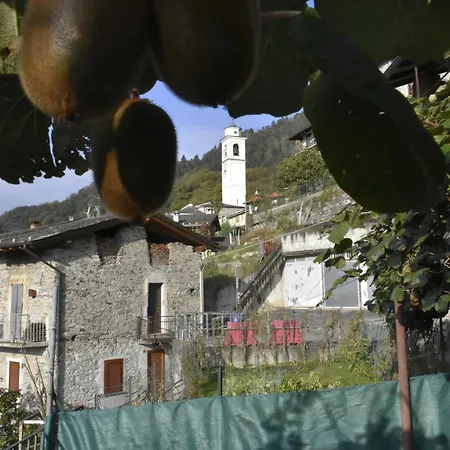 La Pergola Hébergement de vacances Postalesio